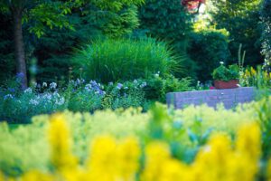 2013 07 hoveniertotaal 057