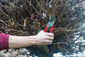 2013 12 angelenhoven 213