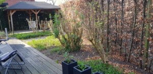 20190409 102802 scaled