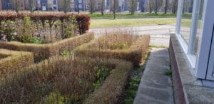 20190409 103132 scaled