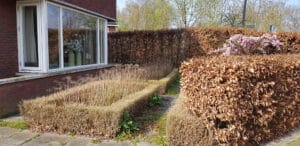 20190409 103151 scaled