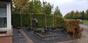 20191023 102259 scaled