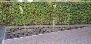 20191023 102340 scaled