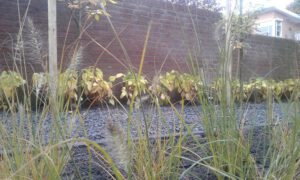 geostretto axenta plata douglasschutting 55