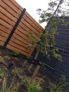 whatsapp image 2022 09 12 at 10.07.48 2