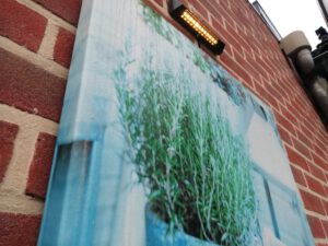 whatsapp image 2022 09 12 at 10.10.49 2