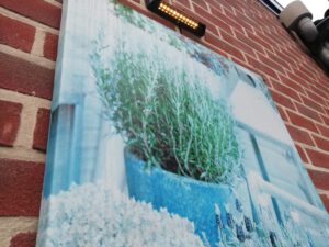 whatsapp image 2022 09 12 at 10.10.49 3