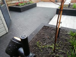 whatsapp image 2022 09 12 at 10.10.49