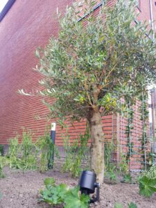 whatsapp image 2022 09 12 at 13.09.08 5