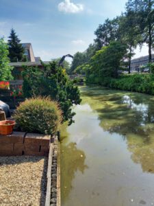 whatsapp image 2022 09 12 at 13.45.12 3