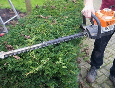 tuinman met elektrische heggenschaar