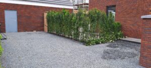 whatsapp image 2025 06 04 at 16.50.54 (1)