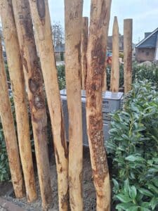 nijkerkerveen voortuin & oprit (12)