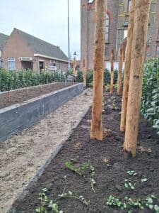 nijkerkerveen voortuin & oprit (16)