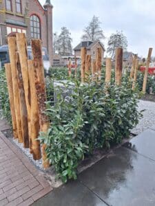 nijkerkerveen voortuin & oprit (30)