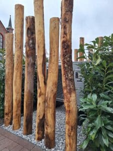 nijkerkerveen voortuin & oprit (31)