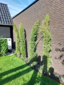 img 20260618 wa0013
