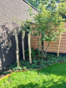 img 20260618 wa0014